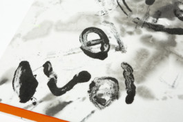 EMILIA LICHTENWAGNER