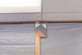 EMILIA LICHTENWAGNER