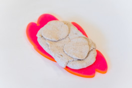 EMILIA LICHTENWAGNER