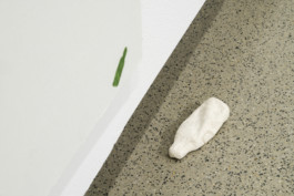 EMILIA LICHTENWAGNER