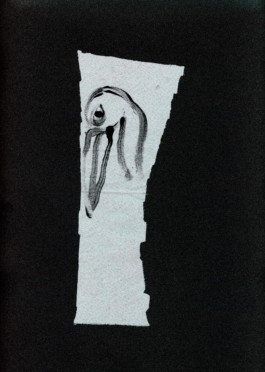 EMILIA LICHTENWAGNER