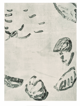 EMILIA LICHTENWAGNER